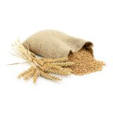 Whole wheat grains 1